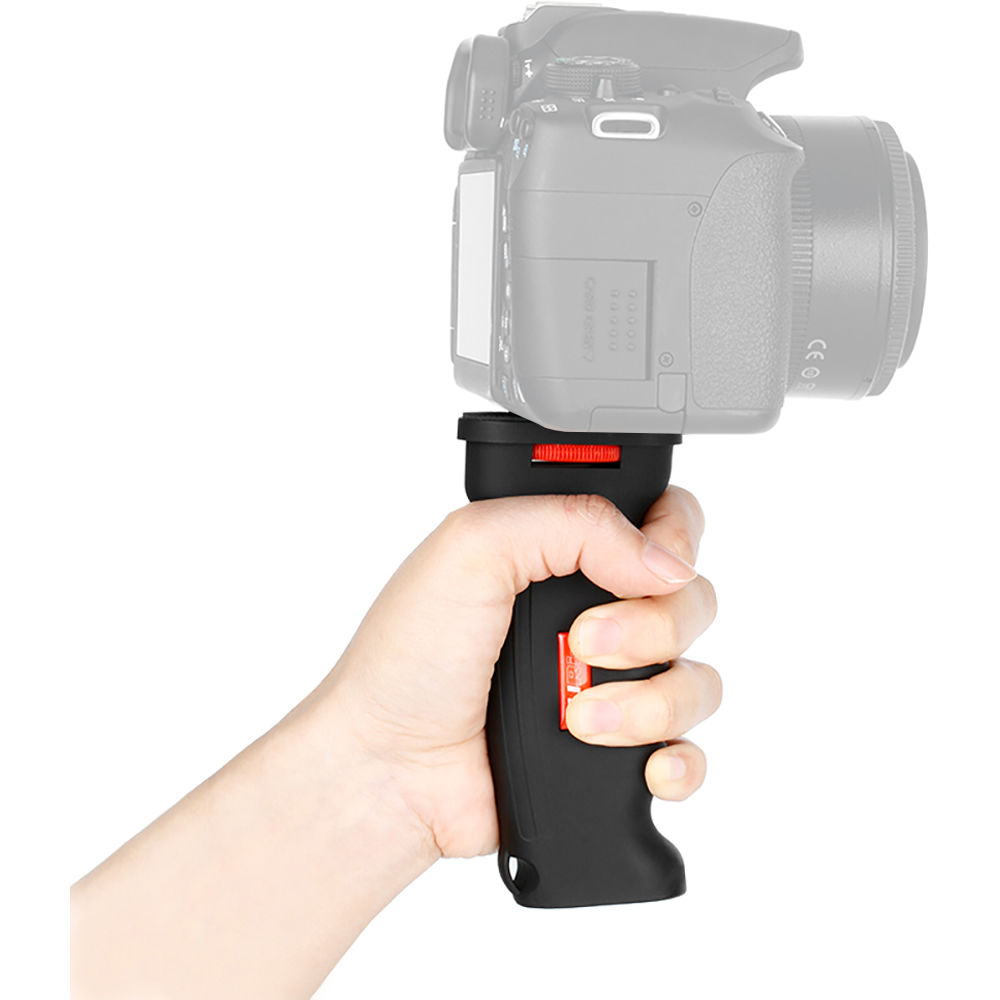 206d30_019232cb81bf4d5bb9e24a37f43a60e2mv2