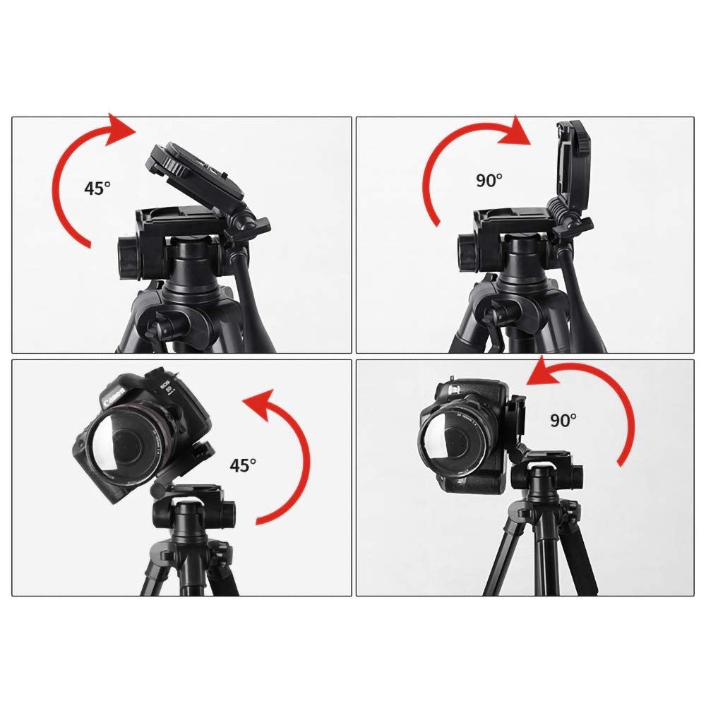 206d30_0446f432df5f4501aacf632b4f1b8840mv2