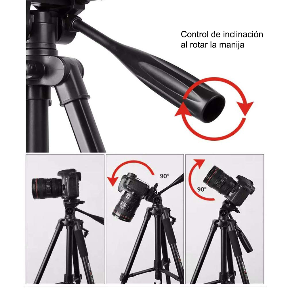 206d30_0a98a3d5062846f28353d931276149f7mv2