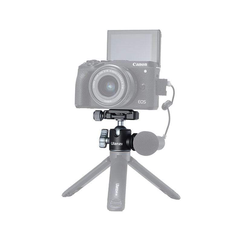 206d30_0eab681993ba4402839b579956c7d735mv2