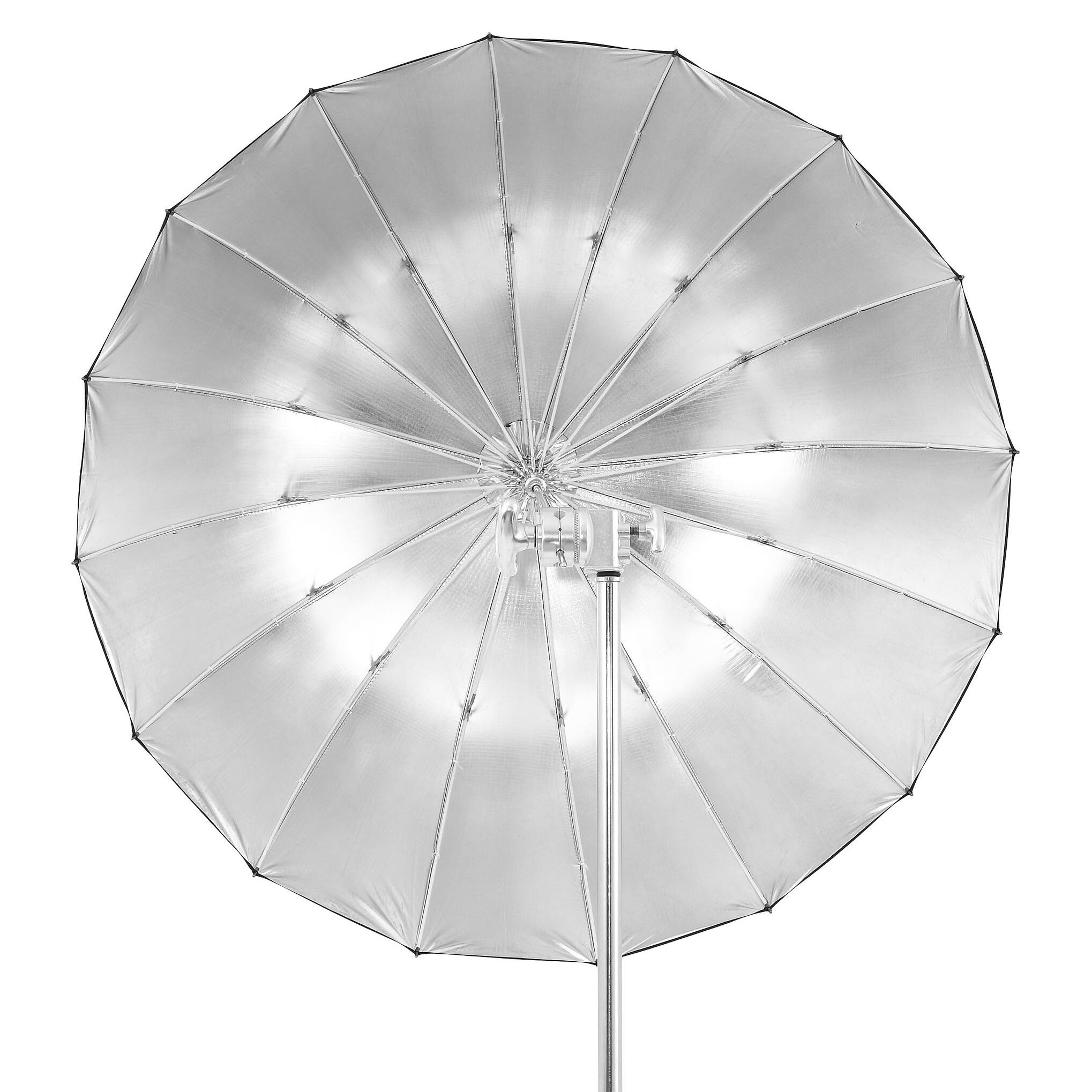 206d30_1dc756bd9765416baf804dfd5f579d1cmv2