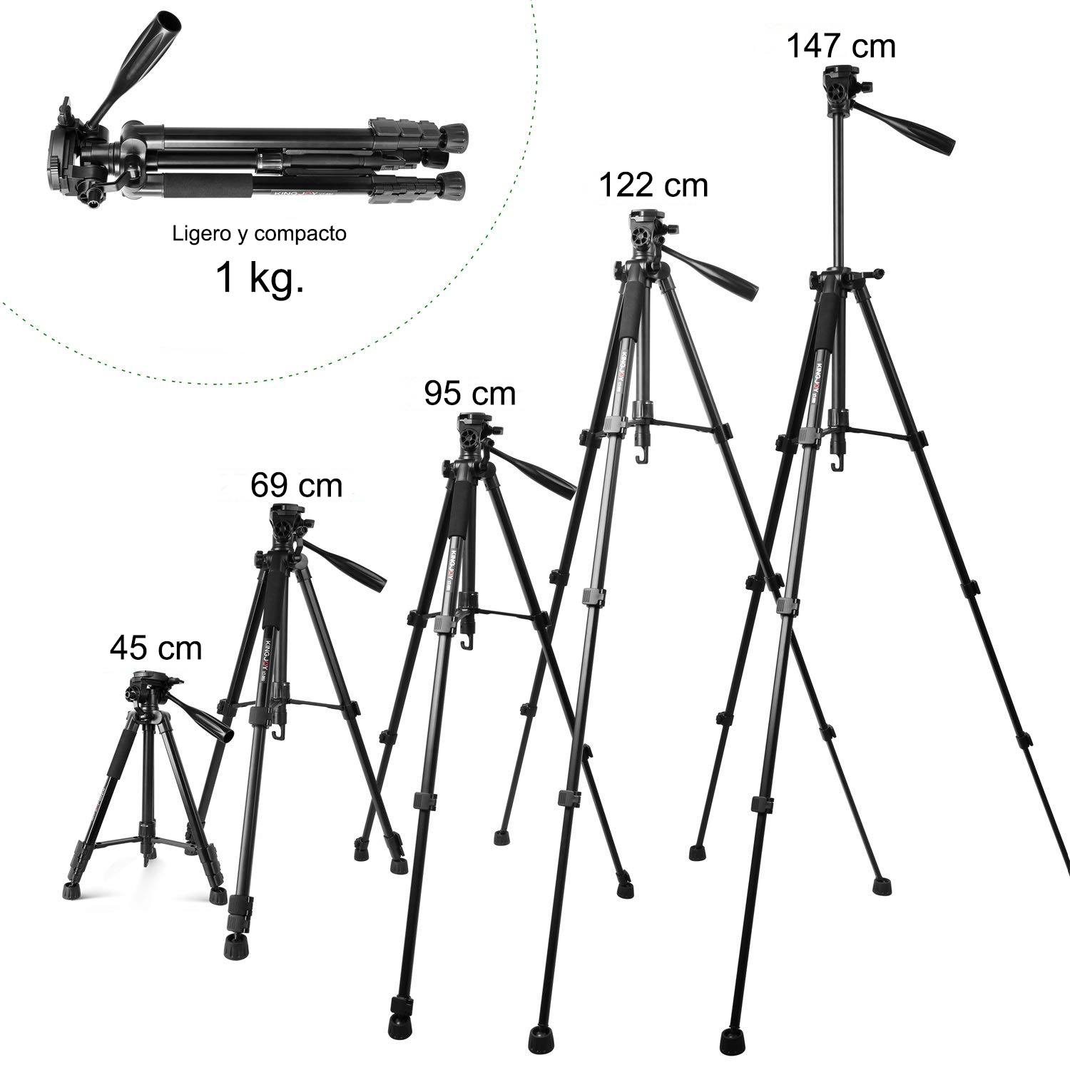 206d30_21f3fe94114645ea9601217c7d0adb48mv2