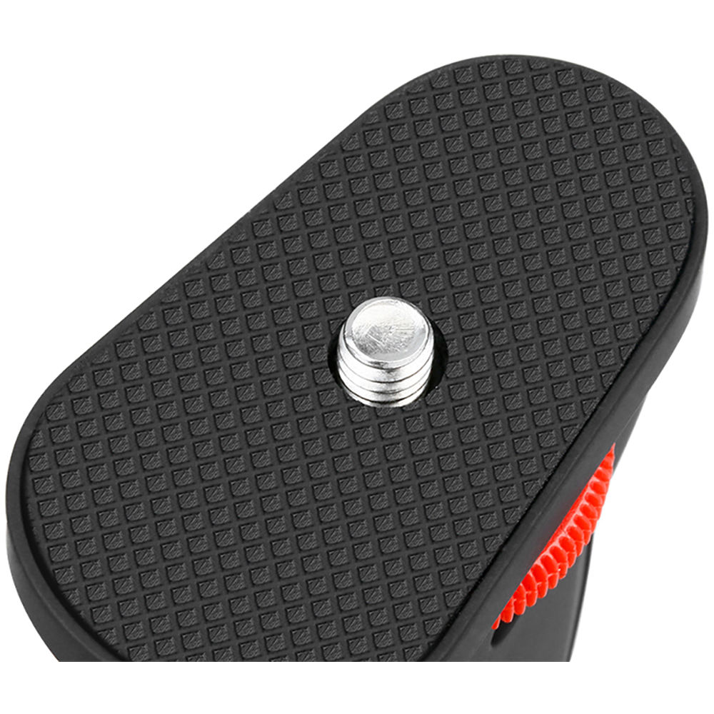 206d30_3796acdb22474a54a885ed8b119383cbmv2