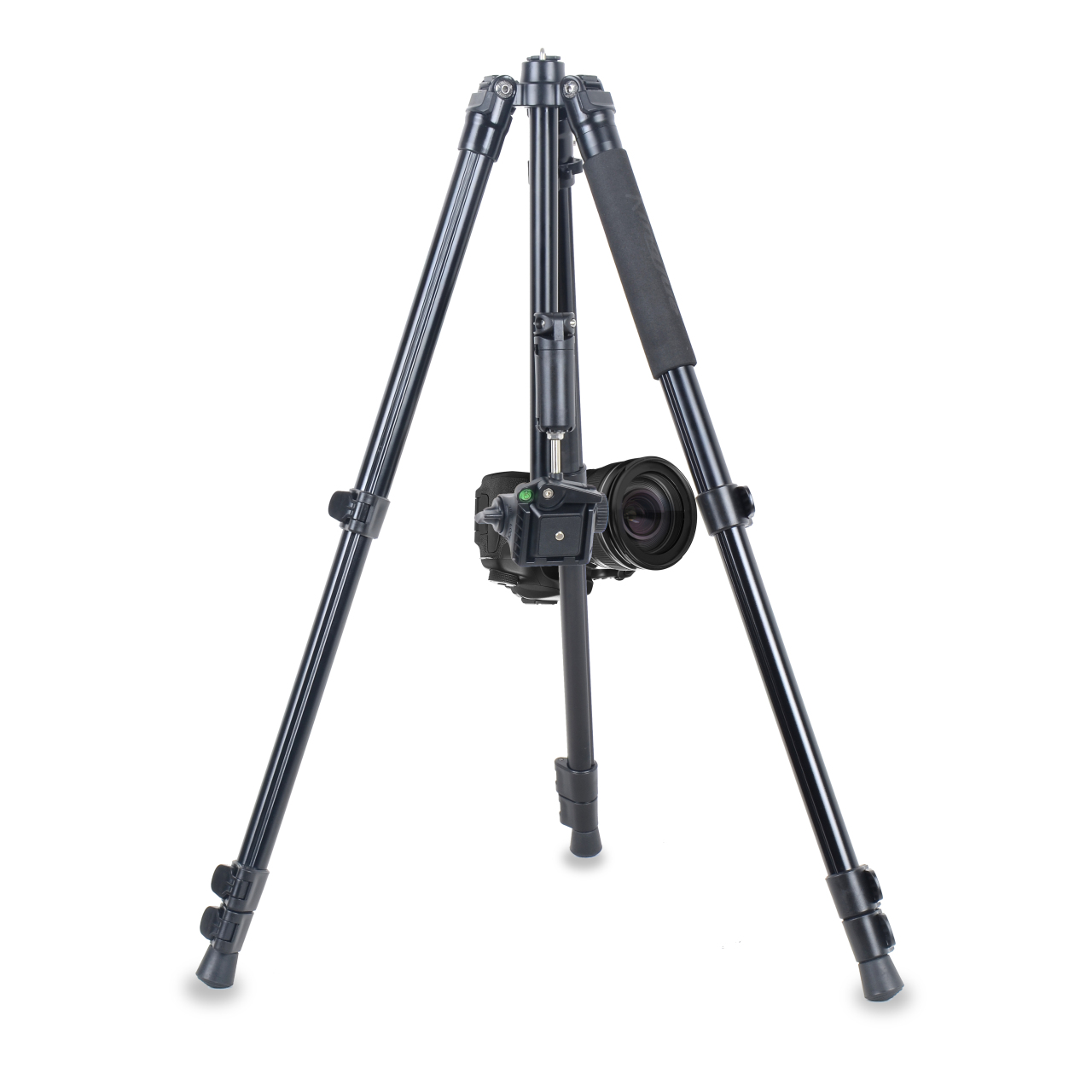 206d30_3f66bea101554b83947327d7eb51fcbcmv2