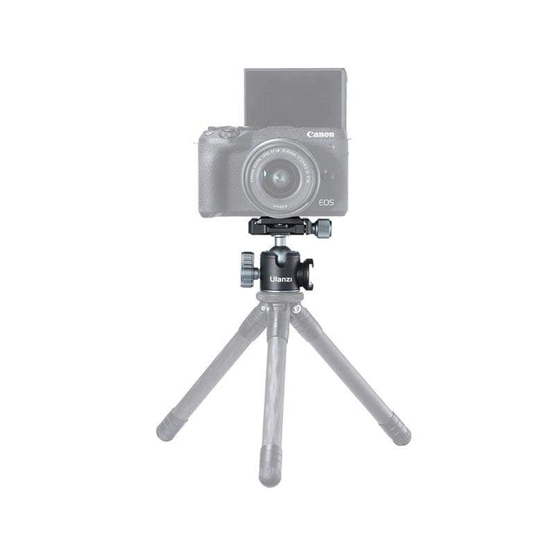 206d30_4d7b7e76416c4b1fb9998ef9dc94750amv2