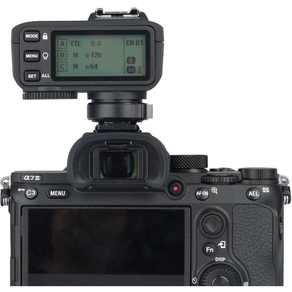 206d30_6d2d72f314b14d5a9a0ca2c49e954719mv2