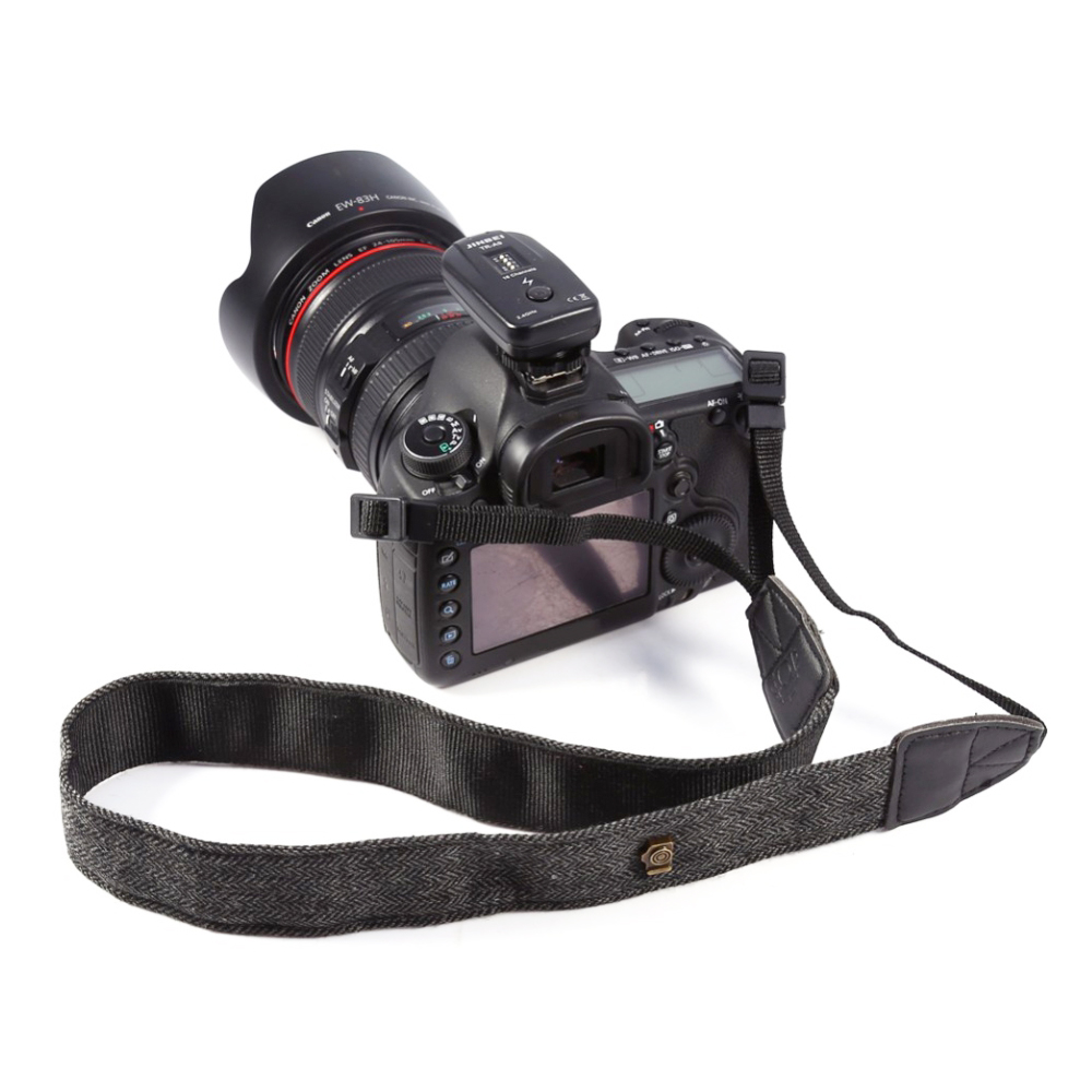 206d30_799fbcbd1b814de0ba805b323127be31mv2