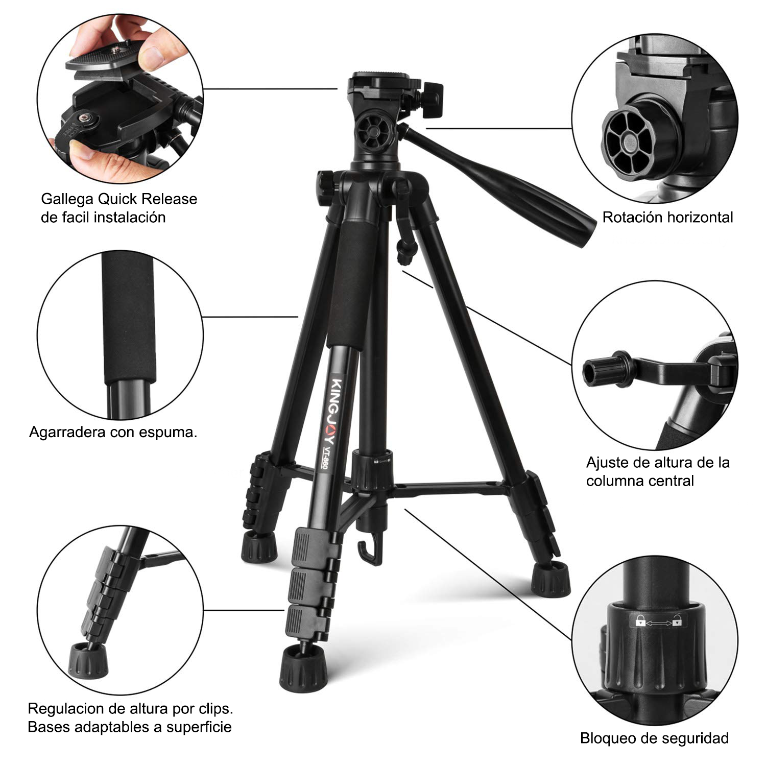 206d30_7dd6d84cfb8b4d1a97b9f8ccc0620bdcmv2