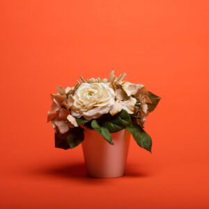 Cartulina Superior Specialties 39 BRIGHT ORANGE, 2.72 x 11m