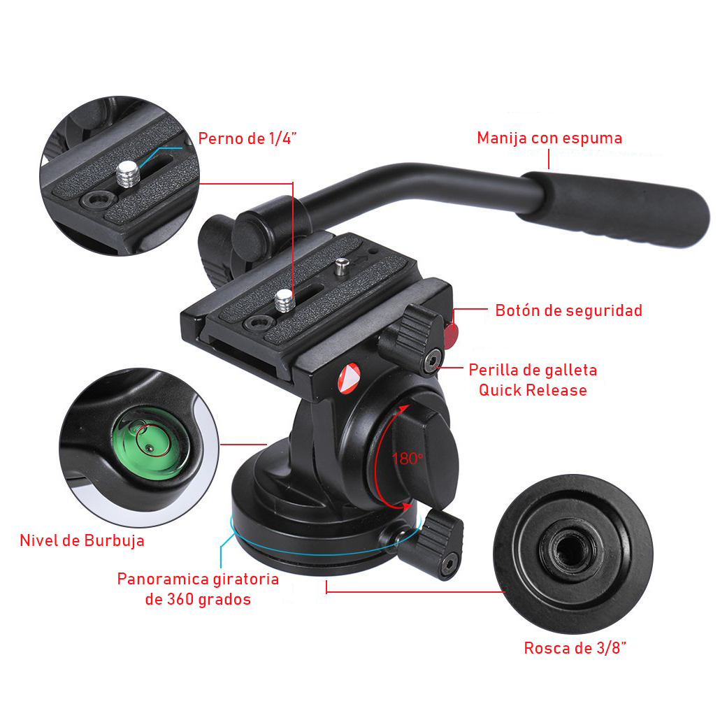 206d30_907d5713d26c44a680aba5bd963fffdamv2