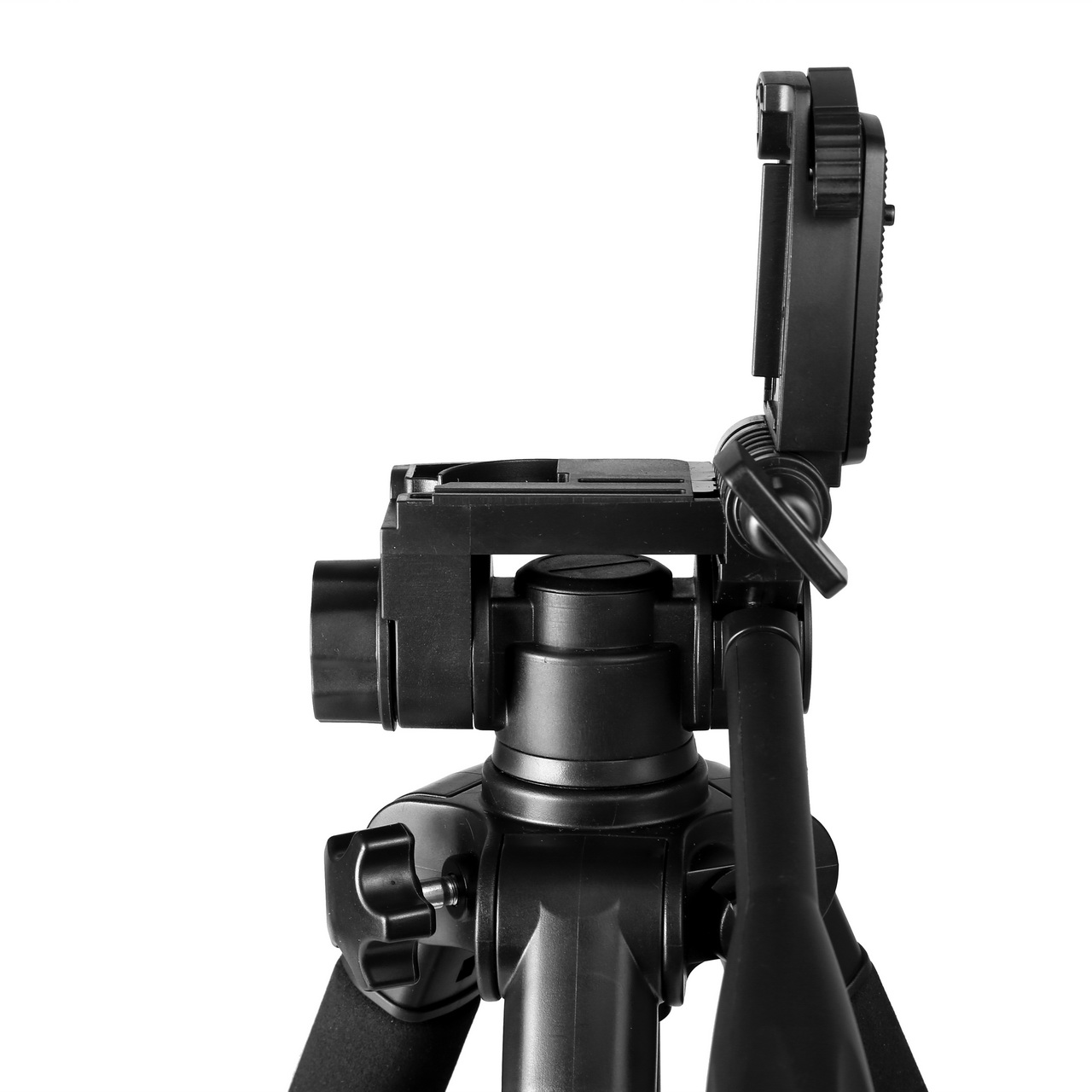 206d30_9f29a68641444bc7bfe22e505eb2bc4cmv2