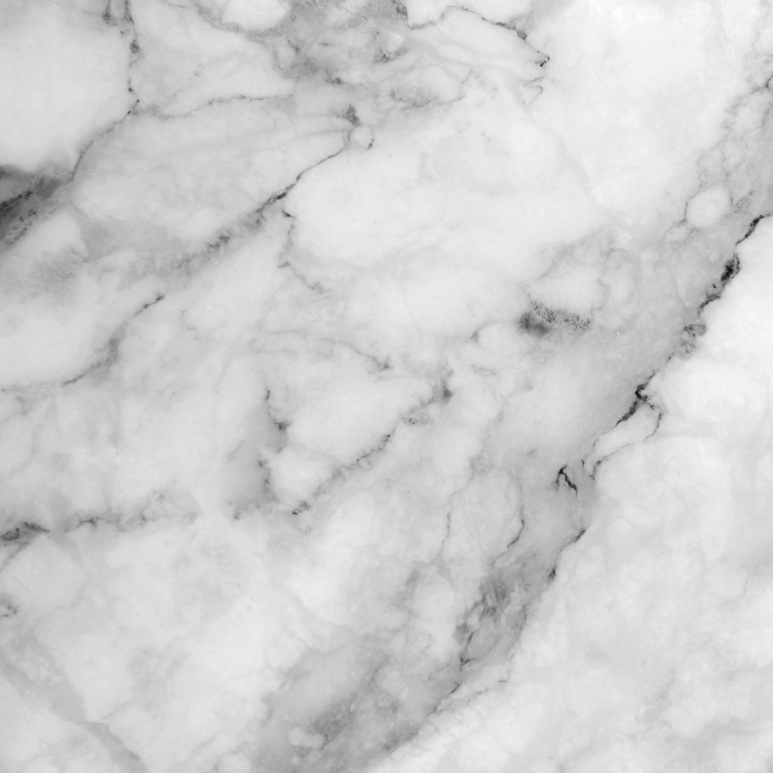 206d30_a6199575755d4cdf93e5185efdbd855dmv2