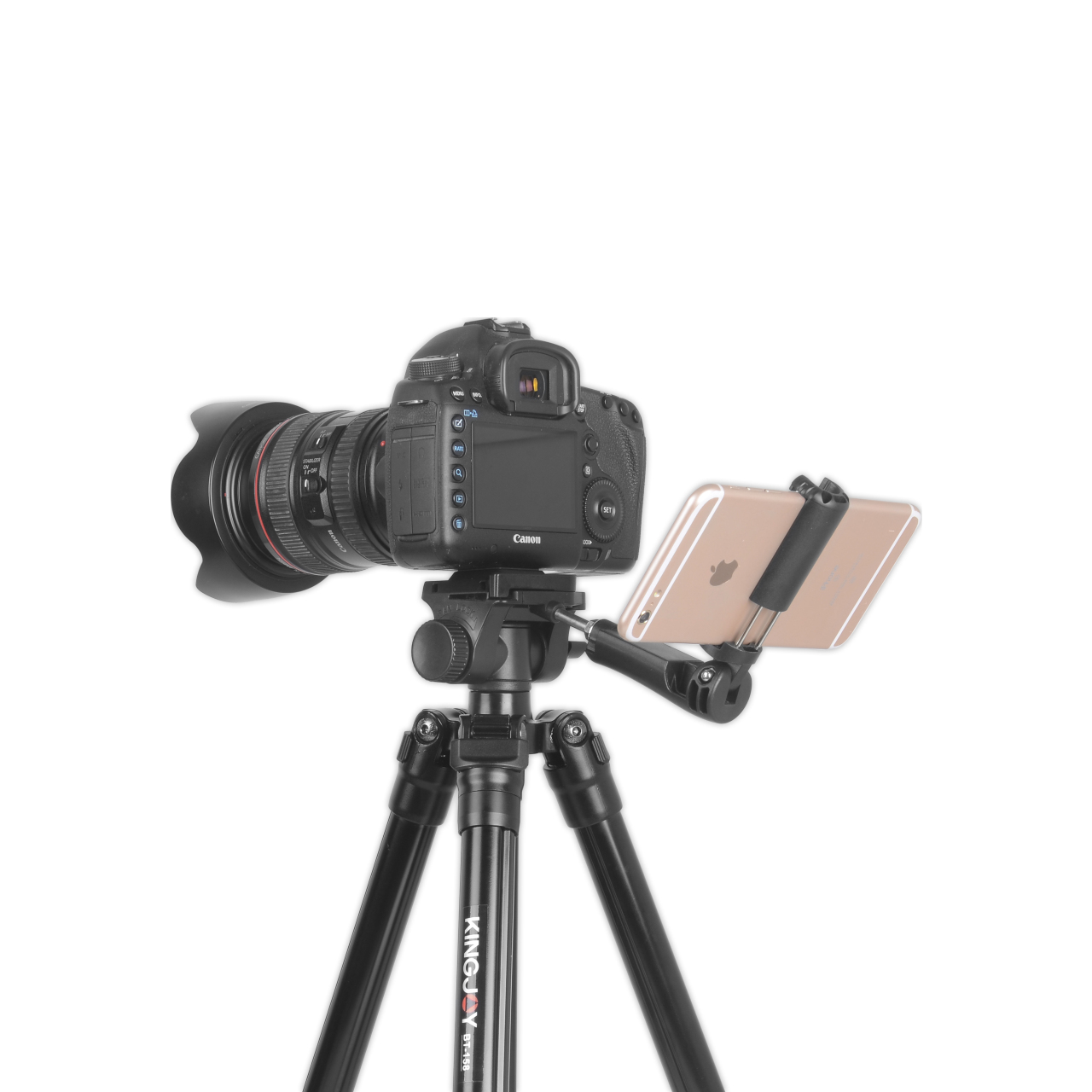 206d30_b3c38a3515564c738c595d0591731f3amv2