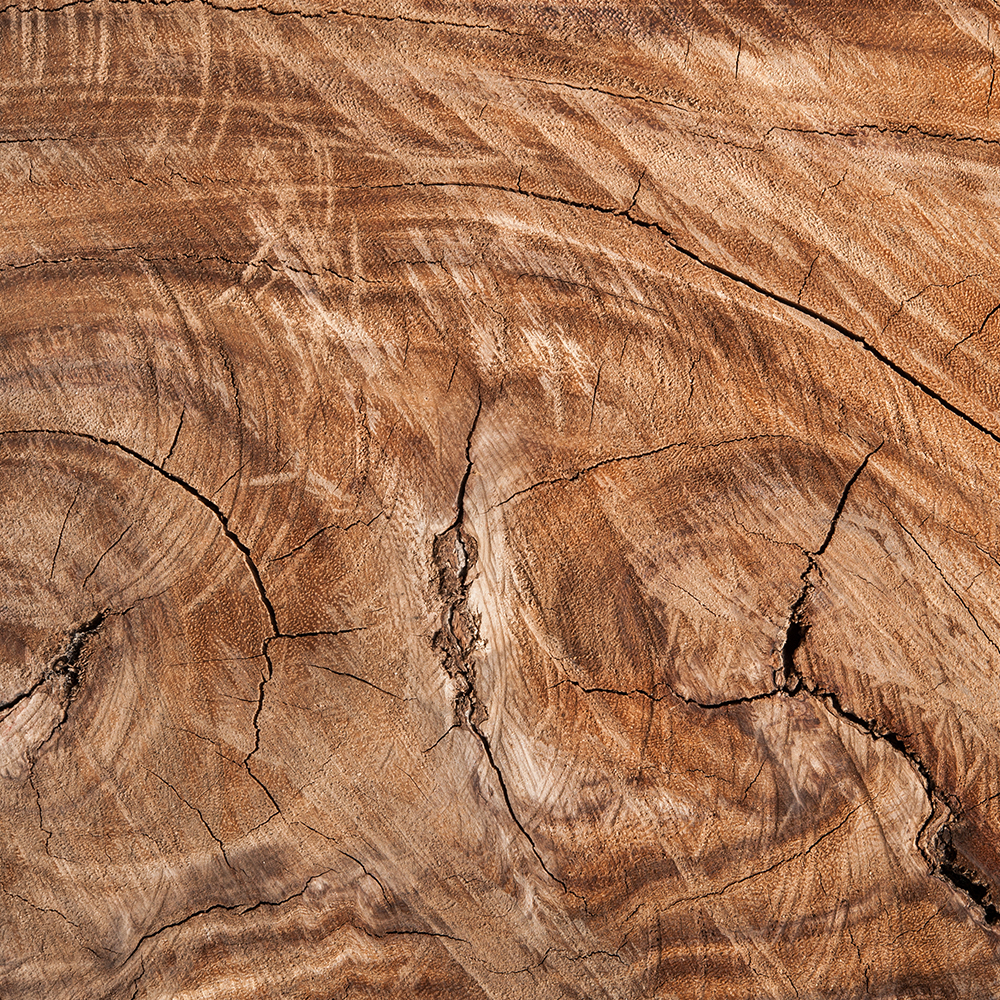 206d30_ed65cc19953642eba09c43159c2e7f6dmv2