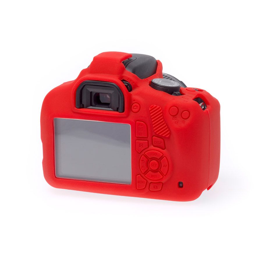 206d30_ef8f07d64a204261bce0501c8d7565f7mv2