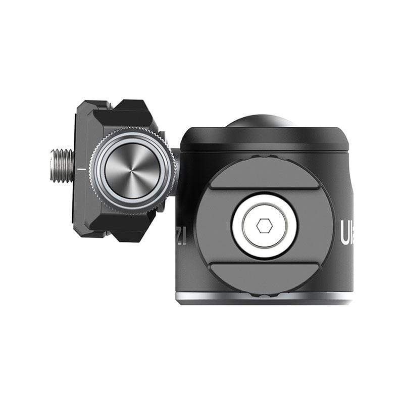 206d30_fe3ce143a4d94ede90ffd08ba6622cf6mv2